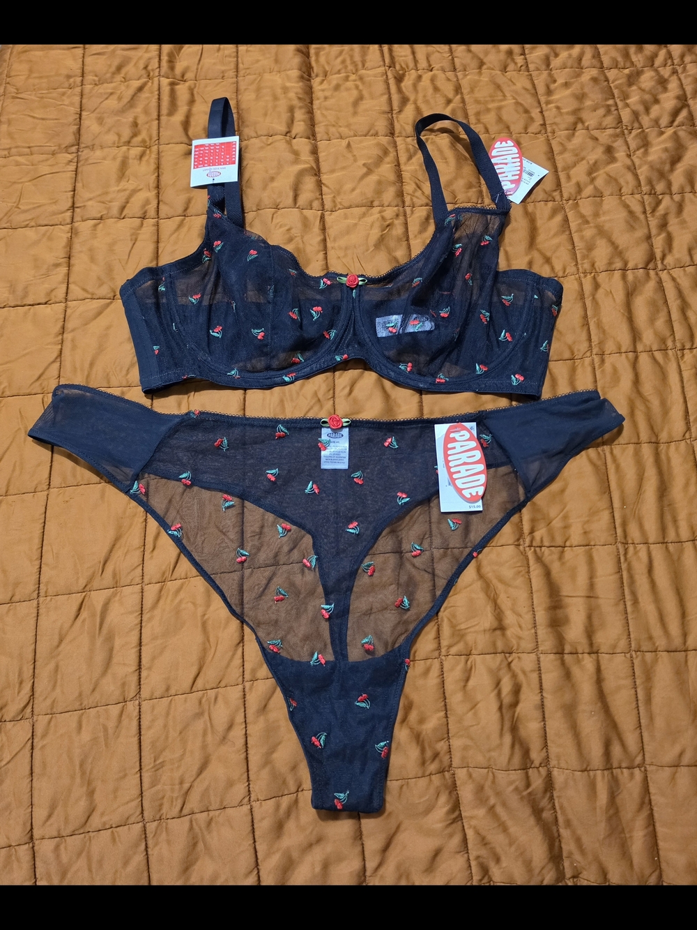 Parade Black Sheer Cherry-Embroidered Underwire Bra & Thong Set Sz 2x/3x
